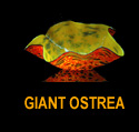 Ostrea Giant Bowls