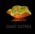 Ostrea Giant Bowls