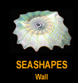 Wall SeaShapes