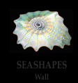 Wall SeaShapes